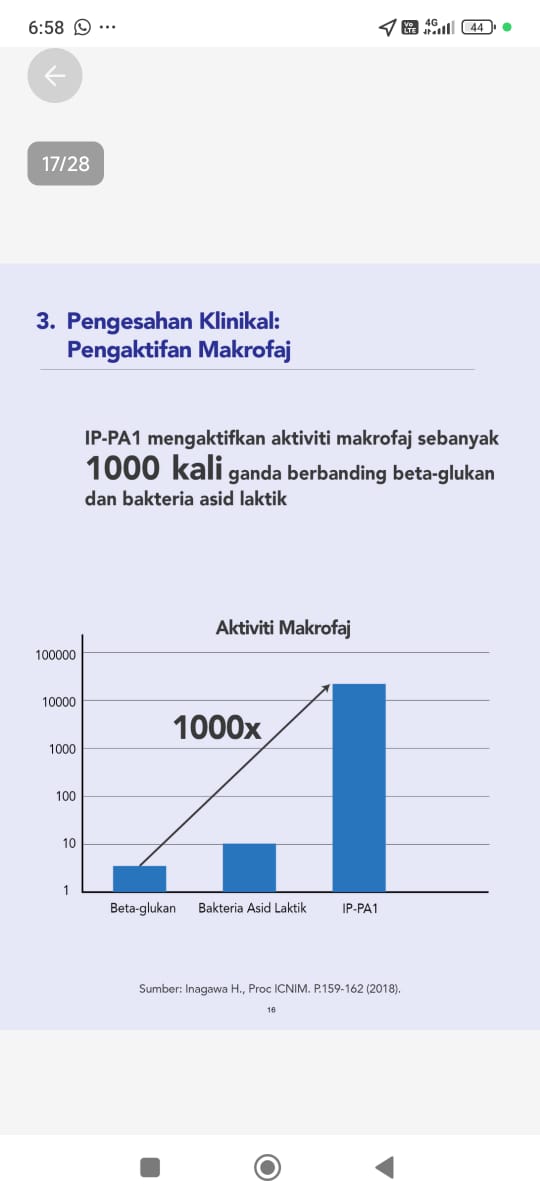 Kenapa Shiruto Sangat Popular untuk bantu sistem Imun