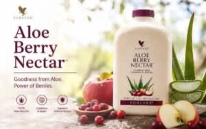 RAWAT BATU KARANG, VERTIGO, SENGUGUT – DENGAN ALOE BERRY NECTAR