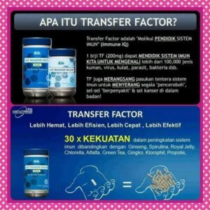 Transfer Factor TF