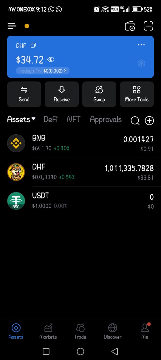 Meme Coin DHF
