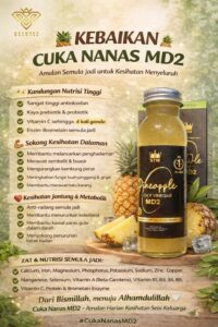 Produk cuka nenas