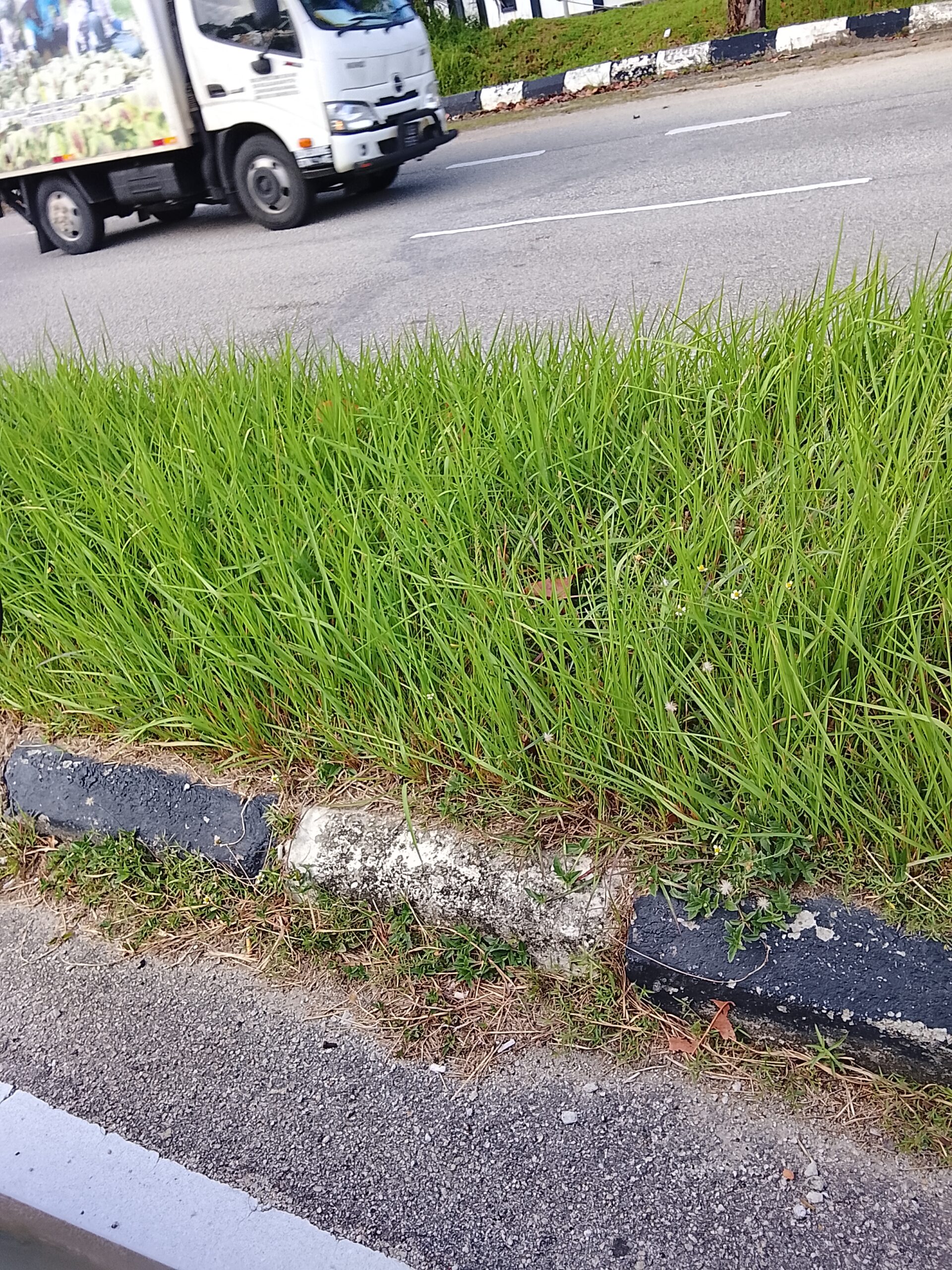 BERSIH HALAMAN