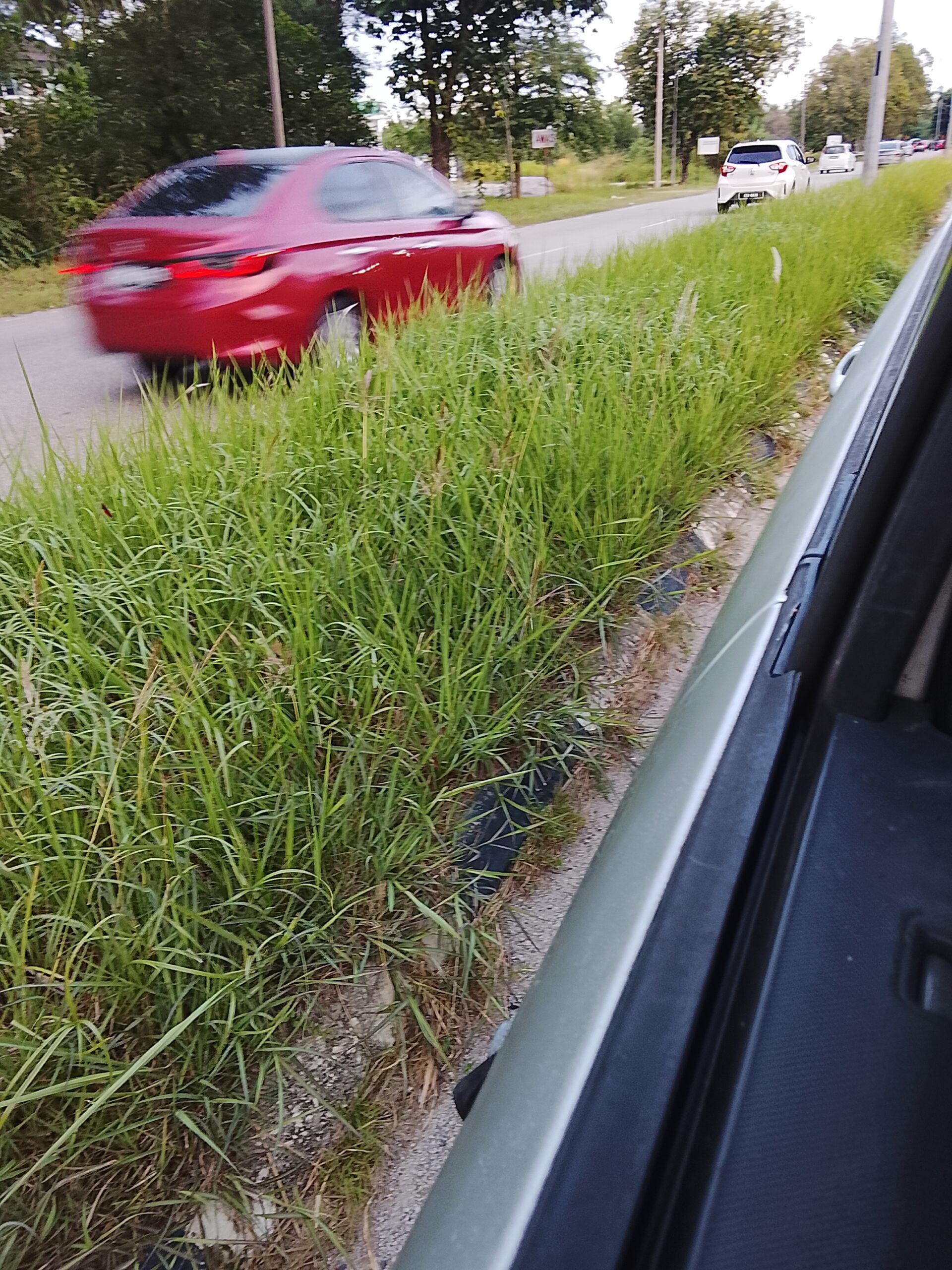 BERSIH HALAMAN