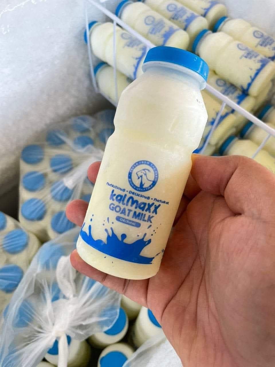 SUSU KAMBING SEGAR