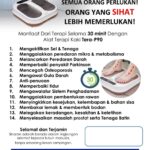 ALAT TERAPI PEMF