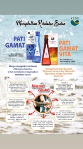 Pati Gamat Plus dan Pati gamat Vita..