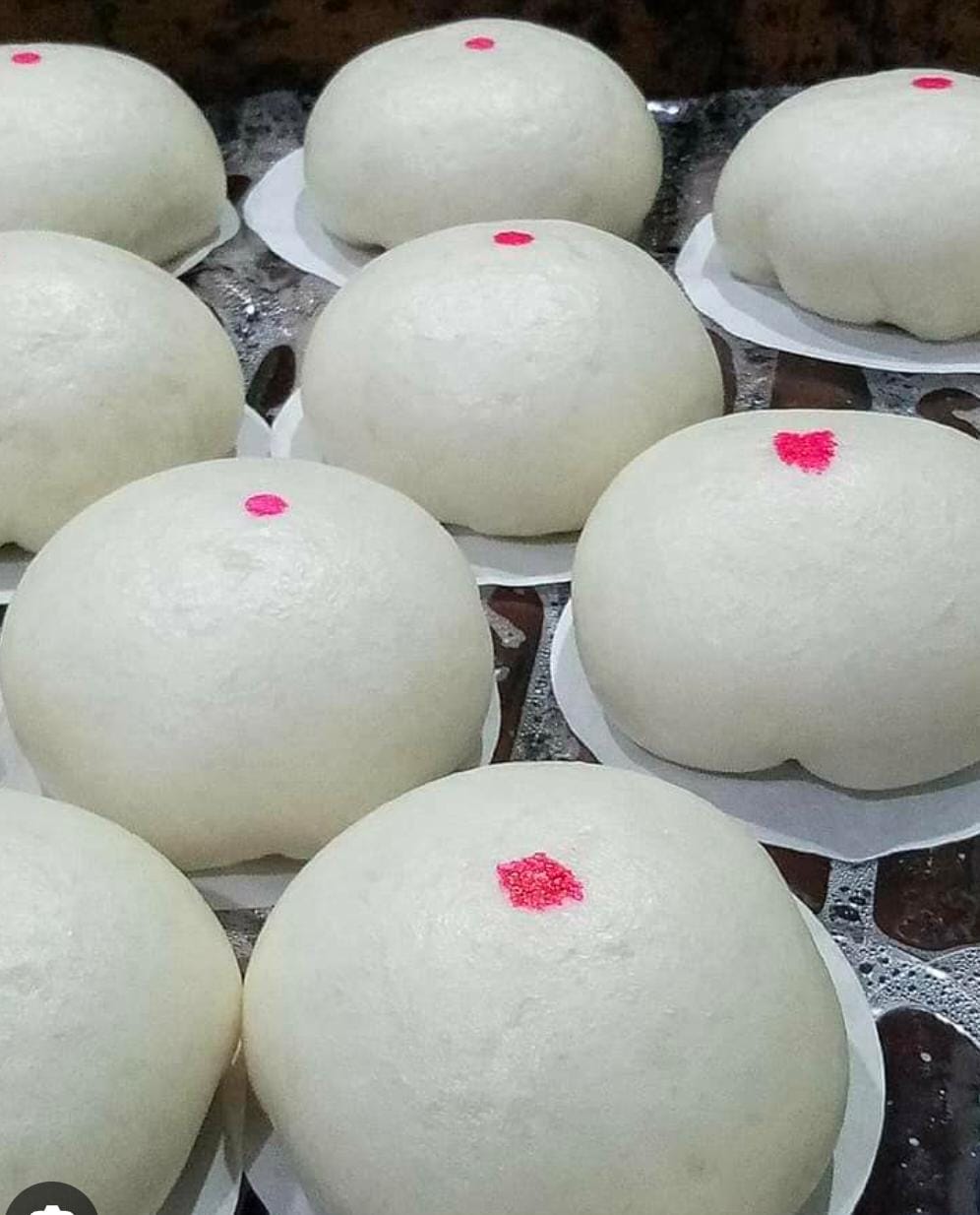 PAU ADIK GEBU