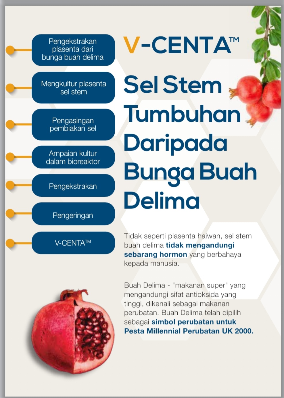 Rahsia Cantik Gebu