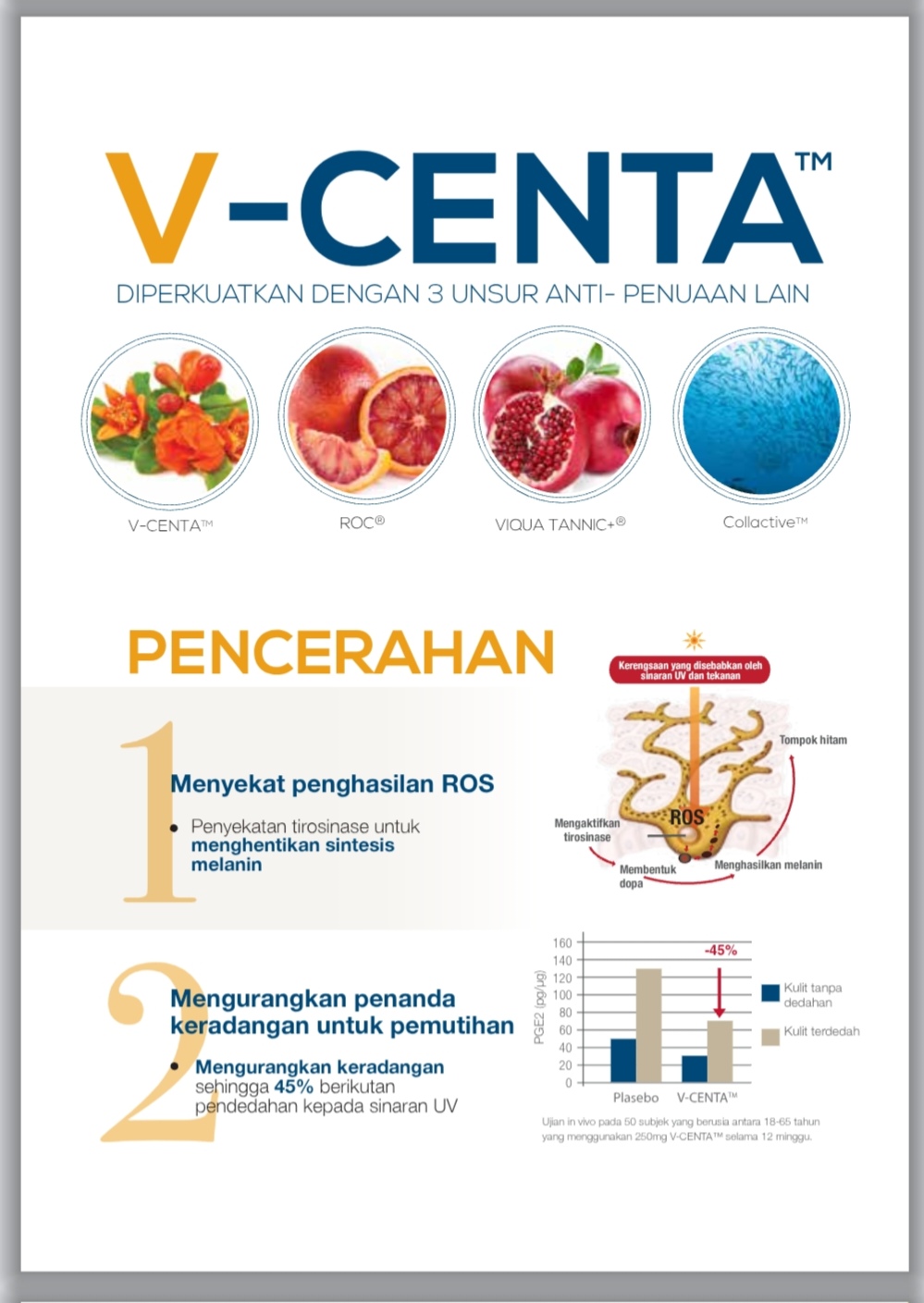 Rahsia Cantik Gebu