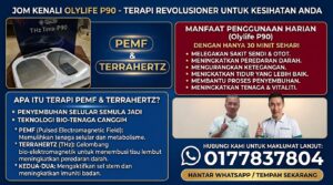KESIHATAN SETARAF DATO LEE CHONG WEI