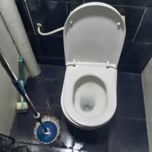 Tukang sinki/tandas sumbat, paip